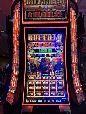Golden Buffalo by RealTime Gaming at Slot Madness casino